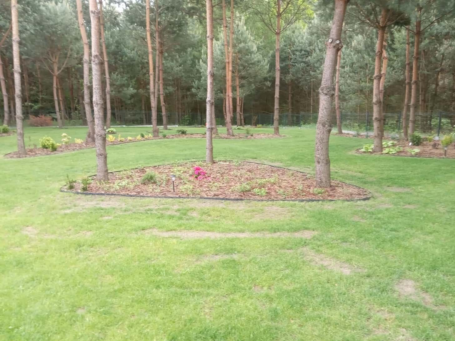Zakładanie ogrodu przydomowego w Leżajsku wraz z projektem kostki